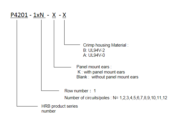 P4201-1XN-XX